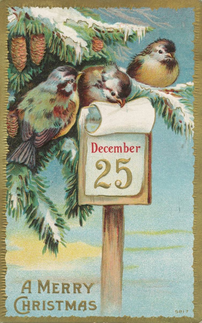 Christmas Birds